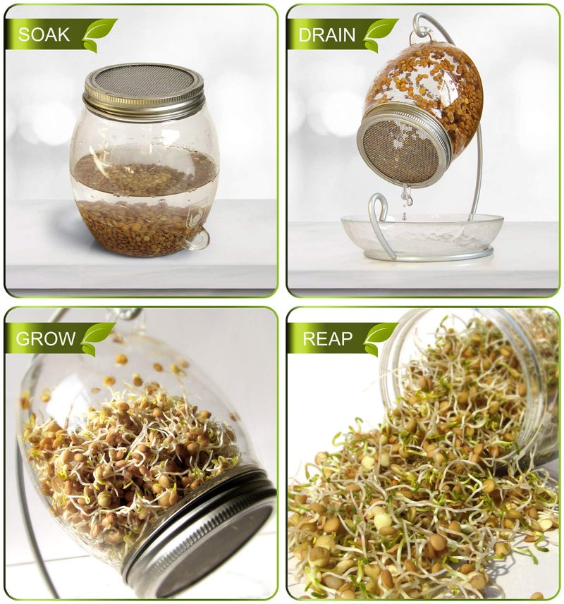 ALCEDIA Premium Sprouting Jar Kit - Unique 30 oz Wide Mouth Sprouting Jar, Stand, Tray and 316 Stainless Screen Lid | Decorative Indoor Seed Sprouter and Germinator (1 Kit) - Image 3